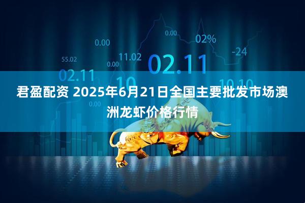 君盈配资 2025年6月21日全国主要批发市场澳洲龙虾价格行情