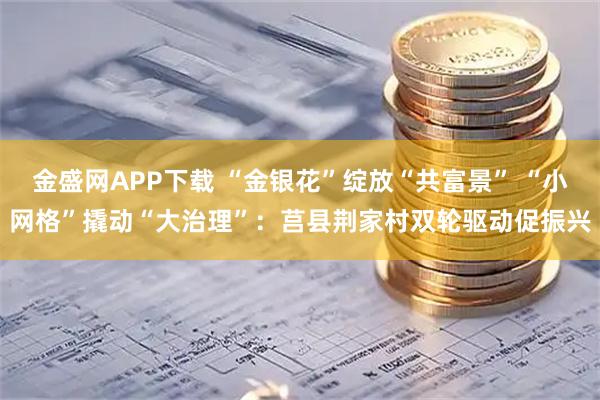 金盛网APP下载 “金银花”绽放“共富景” “小网格”撬动“大治理”:莒县荆家村双轮驱动促振兴