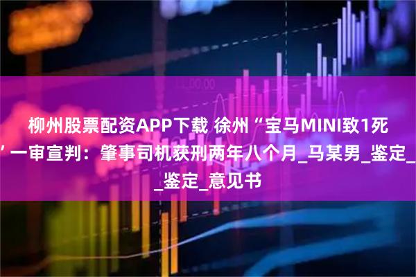 柳州股票配资APP下载 徐州“宝马MINI致1死7伤案”一审宣判：肇事司机获刑两年八个月_马某男_鉴定_意见书