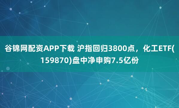 谷锦网配资APP下载 沪指回归3800点，化工ETF(159870)盘中净申购7.5亿份